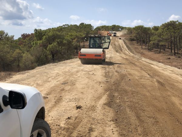 Cost of Driveway Grading in Wentzville
