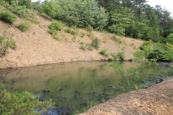 Cost of Pond Erosion Repair in Wentzville