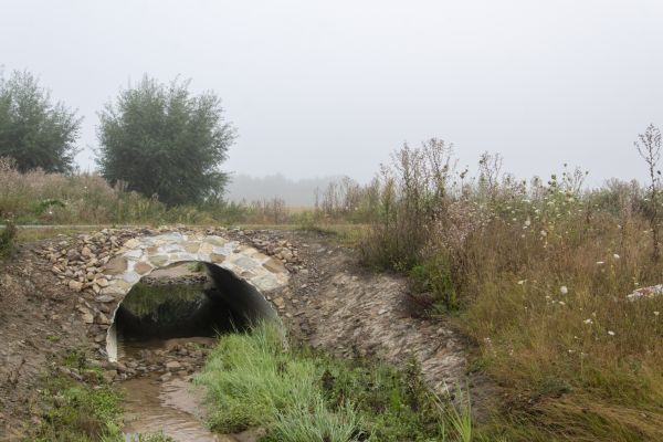 Culvert Excavation in Wentzville