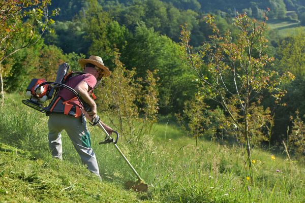 Cost of Slope Trimming in Wentzville